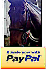 Click to make a donation with Paypal
