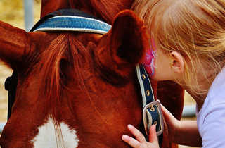 Equine Assisted Natural Therapy (EANH) horse and child
