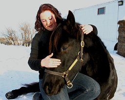 Jose a special Standardbred horse
