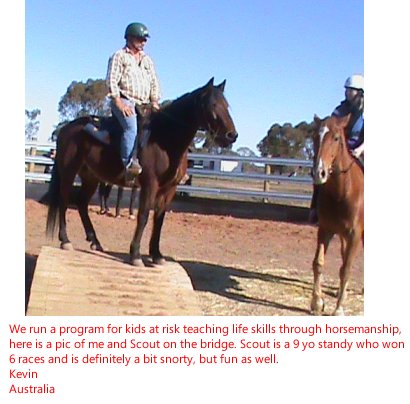 Standardbred Fan Club member Becky demonstrating on Venus, a standardbred horse dressage riding
