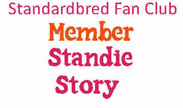 No standardbred horse picture