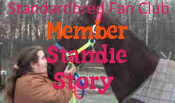 katie was looking for her first horse and found a standardbred Lucky