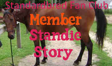Laura leased a standardbred horse and soon ended up falling in love with her